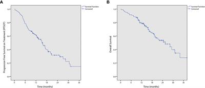 Effectiveness and safety of capecitabine, irinotecan and panitumumab in advanced colorectal cancer